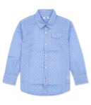Blue Green dot Check Shirt