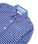 Blue Small Check Shirt
