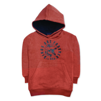 Dinos Forever Boys Hoodie