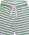 Green-and-White-Stripe-Short.jpg