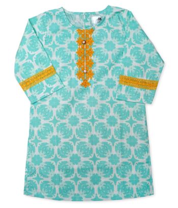 Light Green Embroidered Kurti